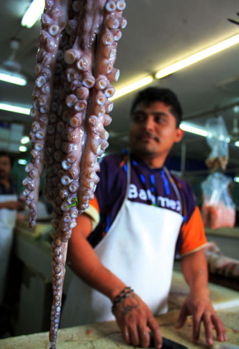 Small Northern Bird: Small Northern Bird's Street Market Camera Club assignment