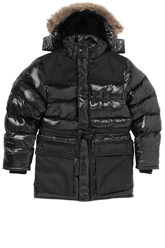 padded jackets: French Connection