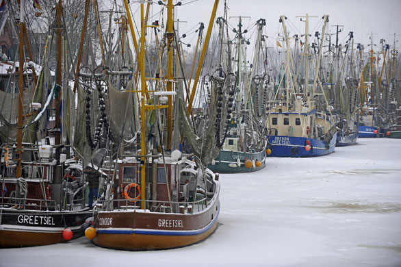 Northern hemisphere: Greetsiel, Germany: Fishing boats stuck in ice