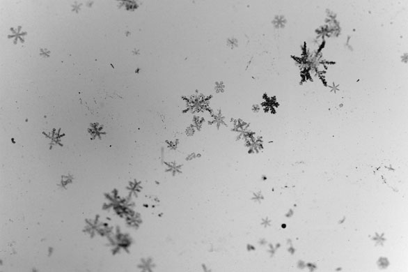 24 hours in pictures: Snow flakes are seen on the windscreen of a car in Danville, Kentucky