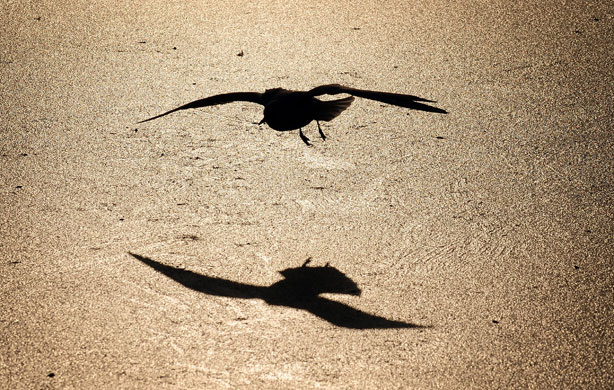 24 Hours in Pictures: Freezing Temperatures Continue To Grip The Country