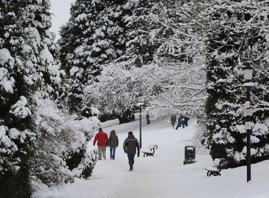 Snow: Winter weather Jan09th