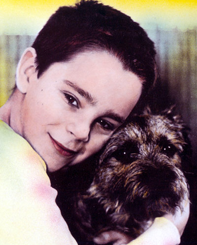 50 family films: My Life as a Dog