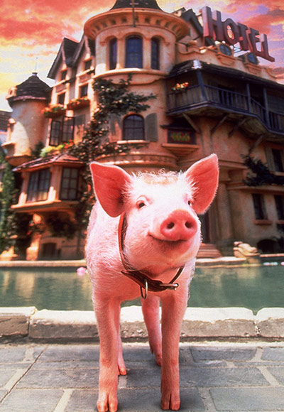 50 family films: Babe