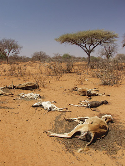 Photo Exhibition: Adaptation against the odds