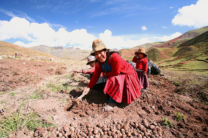 Photo Exhibition: Adaptation against the odds