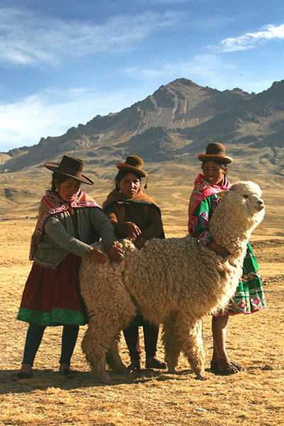 Photo Exhibition: Adaptation against the odds