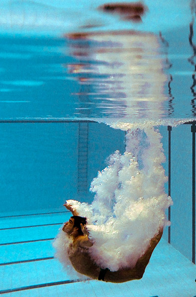 Commonwealth Day 11: Alexandre Despatie