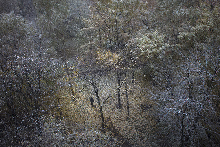 24 hours: Moscow, Russia: A man walks across a park