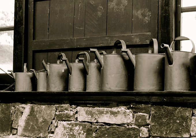 In pictures: evolution: old watering cans