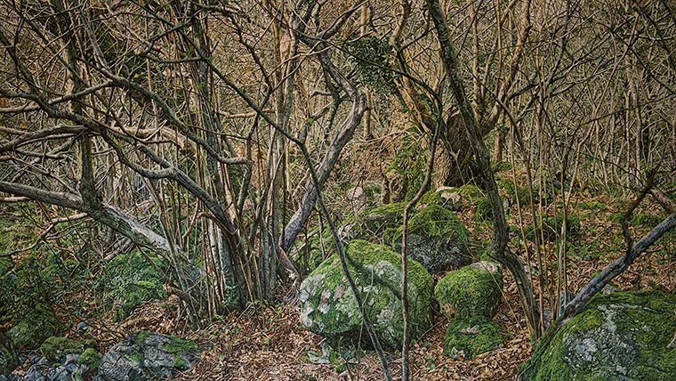 Exhibitionist1610: Joanna Kirk