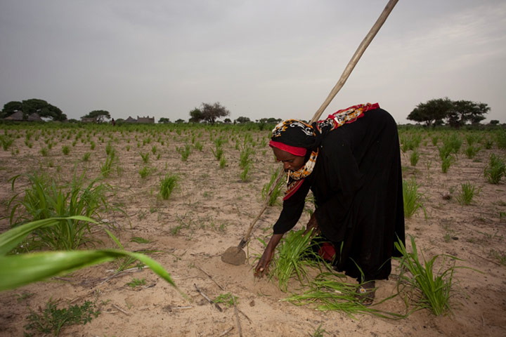  Action Against Hunger: Tackling life-threatening child malnutrition in Chad