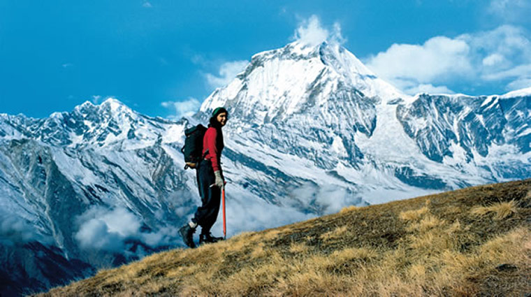 Ten best: Survivors: Arlene Blum