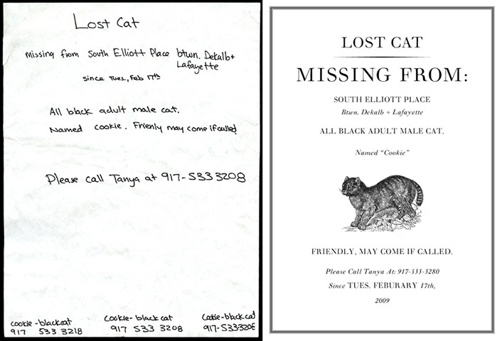 Cardon Copy: Cardon Copy, missing cat flier
