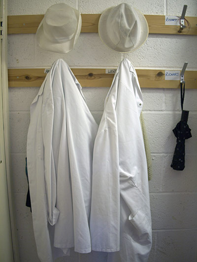 Camera Club: Juifei workplace assignment