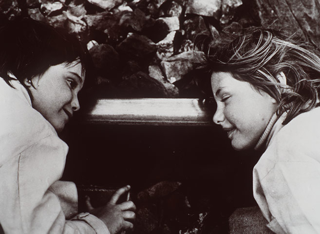 The drama and arthouse 25: The Spirit of the Beehive