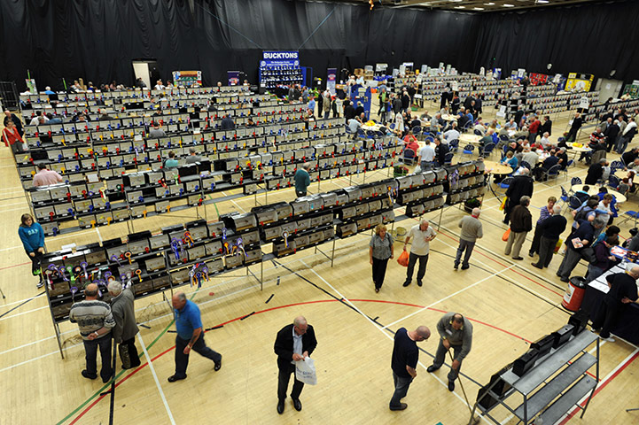 Budgerigar show: Budgerigar Society's 2010 World Championship Show at the Dome, Doncaster