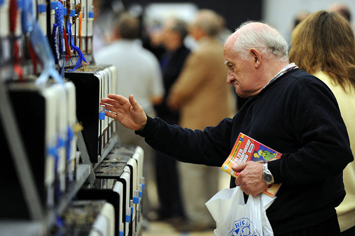 Budgerigar show: Budgerigar Society's 2010 World Championship Show at the Dome, Doncaster
