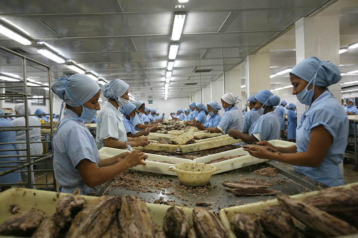 UNEP Report: Workers in Tuna factory on the Ecuadorian coast