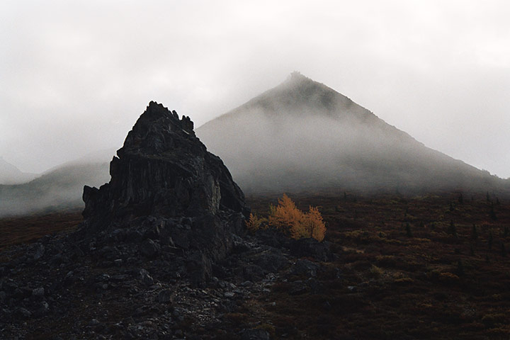 In pictures: moody: Alaska’s Denali National Park