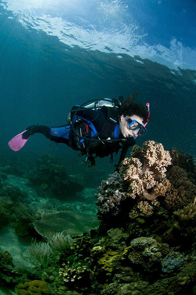 Marine Biodiversity: To go with Lifestyle-Timor-tourism-divin