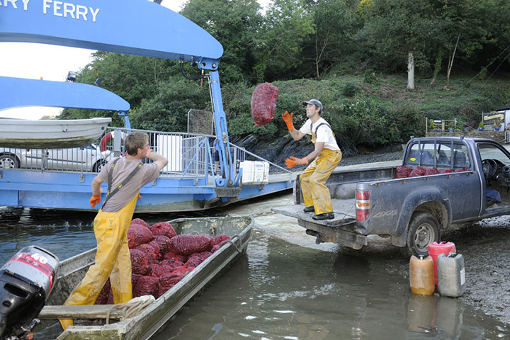 Camera Club : MattMiciak workplace photography