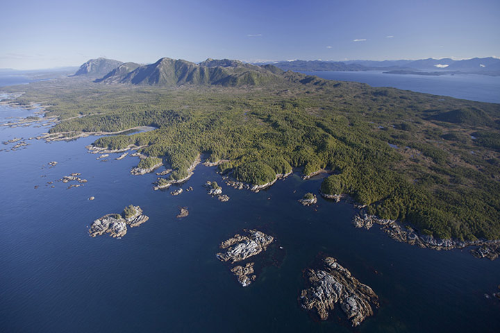 Great Bear Rainforest: iLCP RAVE of the Great Bear Rainforest in British Columbia, Canada