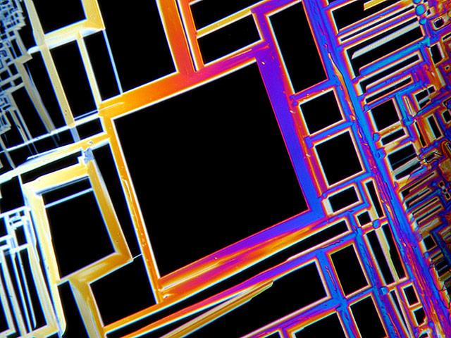 Nikon Small Worlds: Divaricatic acid from Evernia divaricata by Ralf Wagner