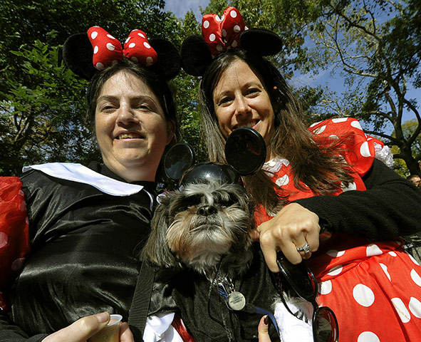 Halloween Dog Parade: Annual Halloween Dog Parade