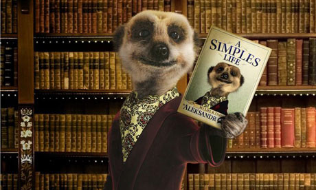 Aleksandr Meerkat Simples