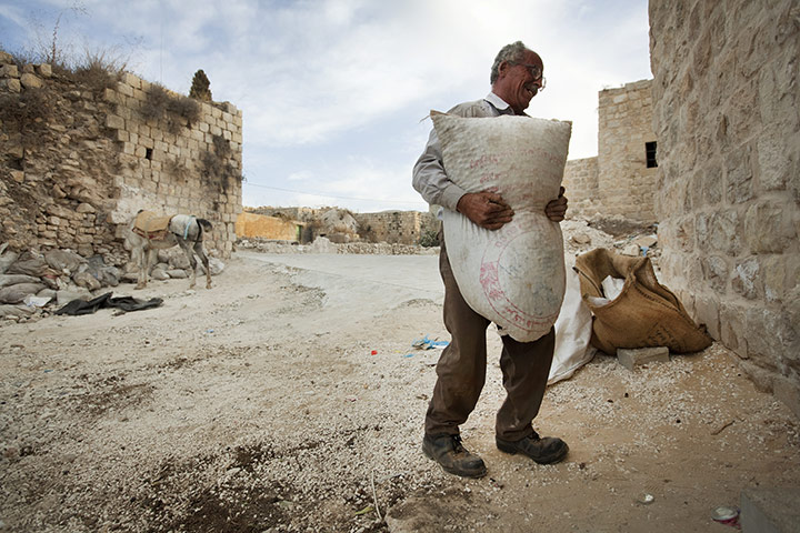 West Bank olive harvest: Farmers from the Beni Zeid Cooperative have their olives weighed