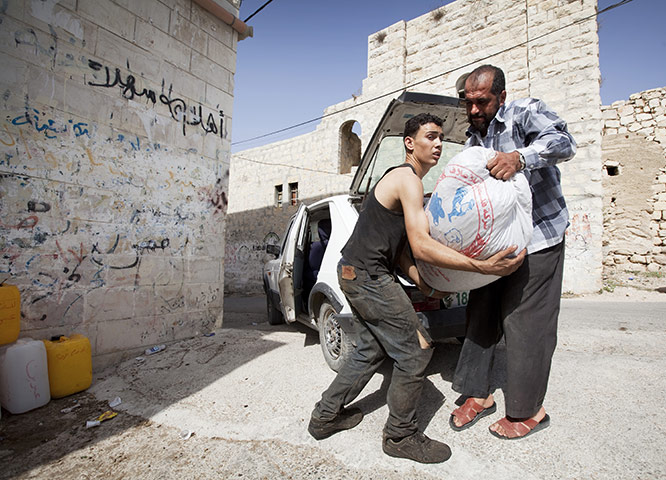 West Bank olive harvest: Sacks of olives are unloaded from the boot of a farmer's car