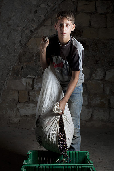 West Bank olive harvest: Ma an Tael Misaf, 13, from Beni Zeid with olives from his father's trees