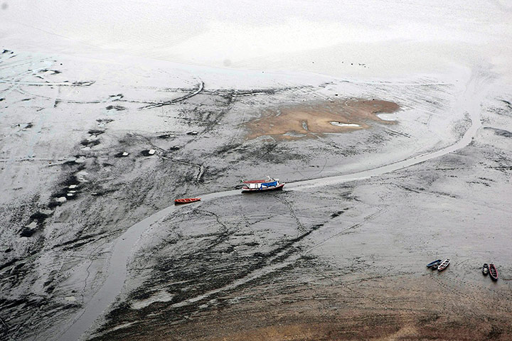 Amazonia drought: Drought in the Brazillian Amazonia 