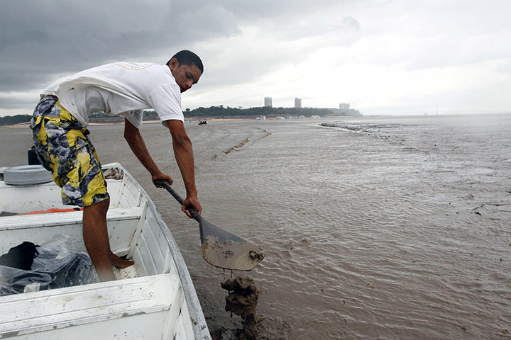 Amazonia drought: A man attempts to row through mud  on Rio Negro in Manaus, Brazil