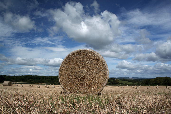 In pictures: circles: Straw bale