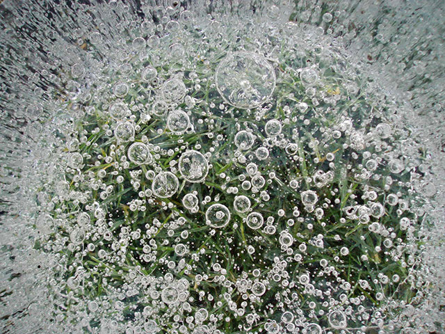 In pictures: circles: Frozen bucket of rainwater