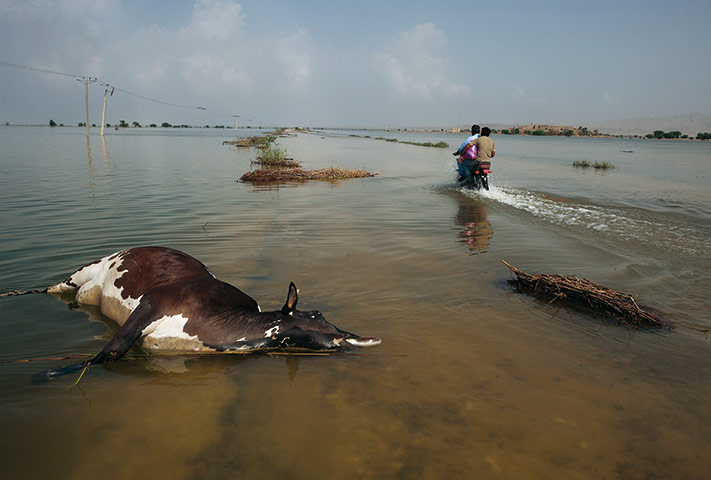 Pakistan floods: Pakistan - Floods -