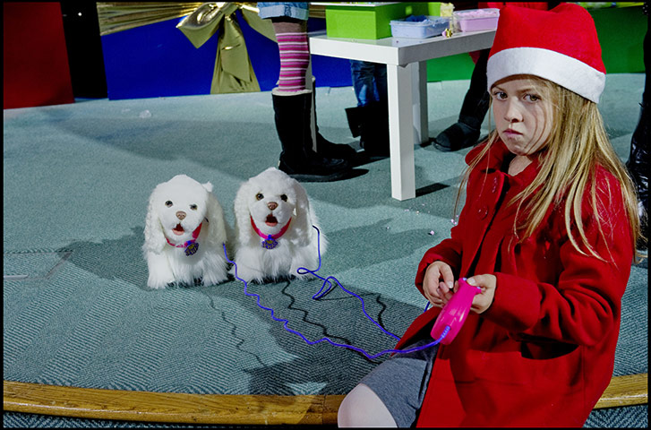 Dream Toys for christmas: FurReal Go Go Walking Pup