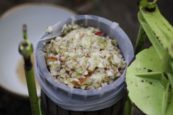 Apple pressing: Apple pressing