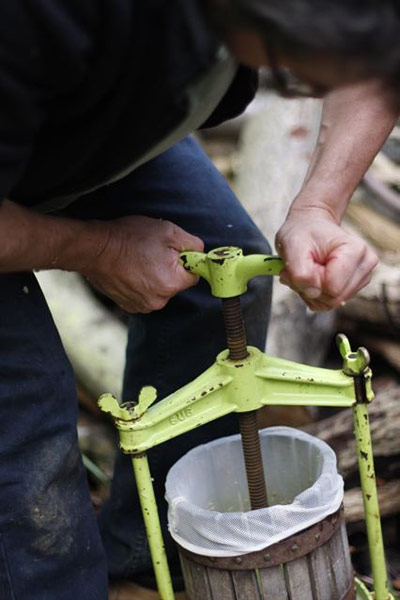 Apple pressing: Apple pressing