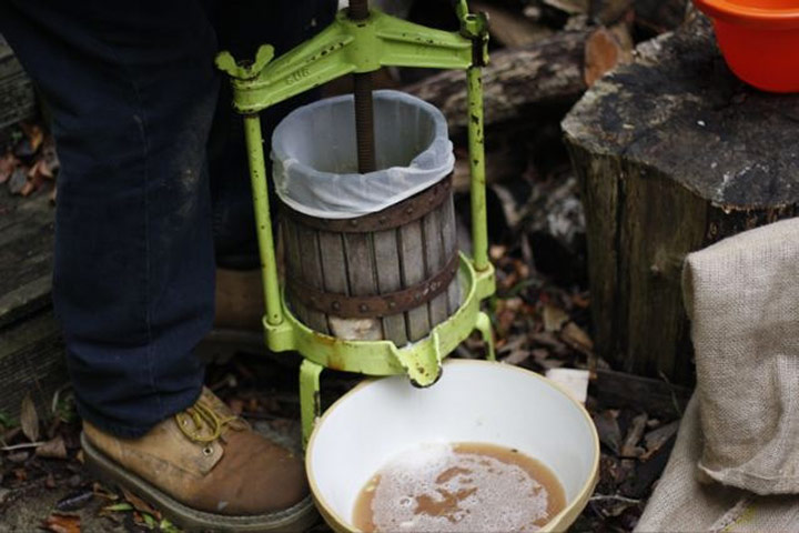 Apple pressing: Apple pressing