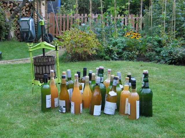 Apple pressing: Apple pressing