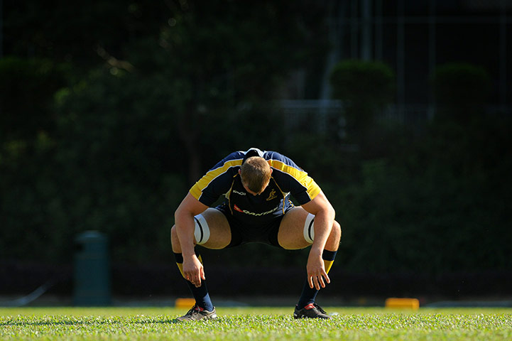 24sport: Australian Wallabies flanker Mark Chisho