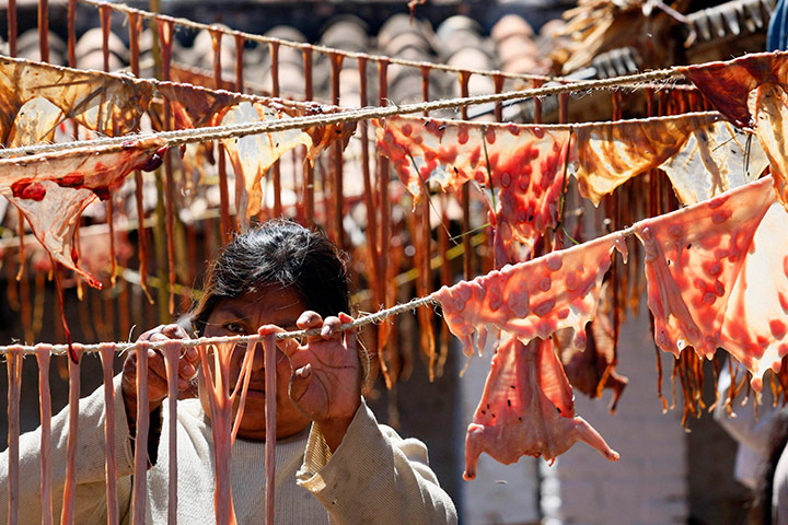24 hours in pics: A woman dries goat tripe during La Matanza, Mexico