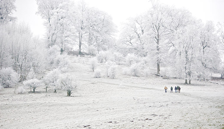 In Pictures: cold: Martinsell Hill