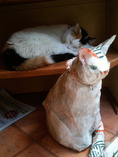 Week in pics: Goldfrapp: cat sleeping next to a paper cat