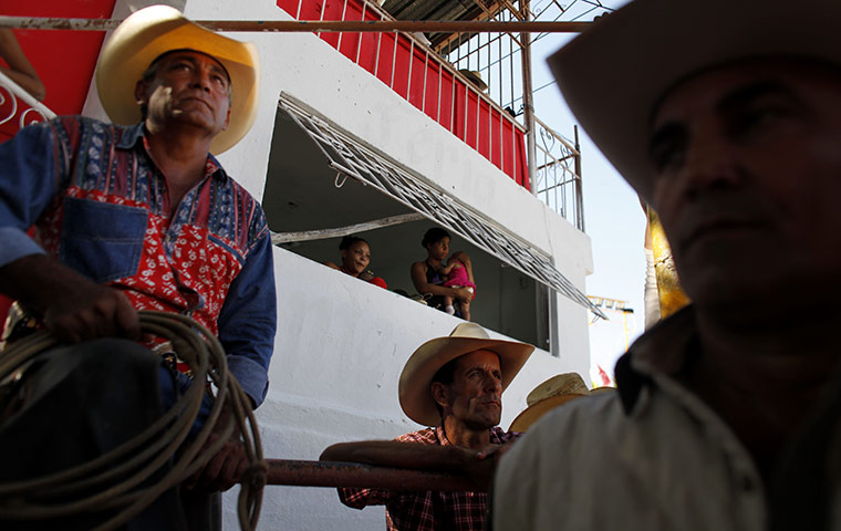 24 hours in pictures: International Livestock Show in Havana, Cuba