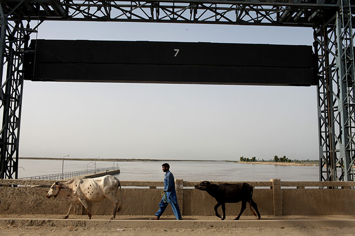 Pakistan floods- Punjab: A man walks across the Taunsa Barrage