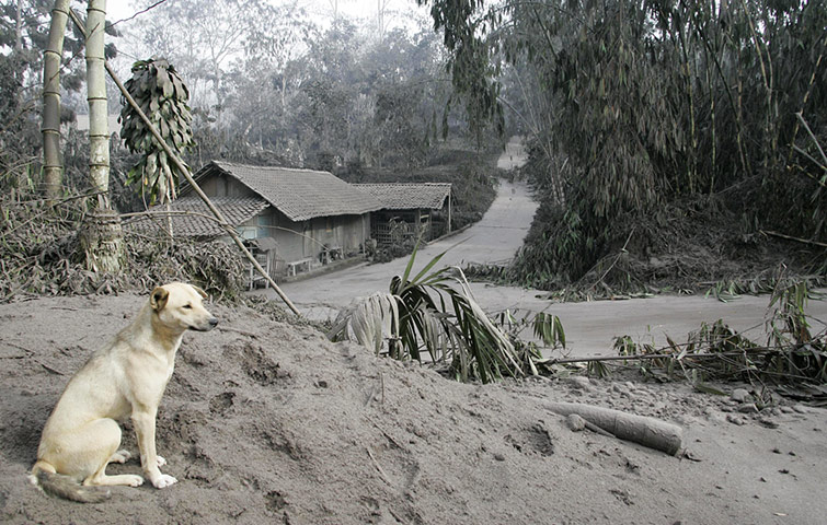 24 hours in pictures: volcanic ash from the eruption of Mount Merapi